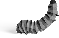 Lagarta
